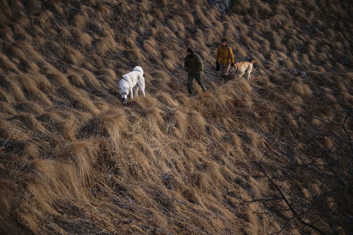 Walkers on a high slope