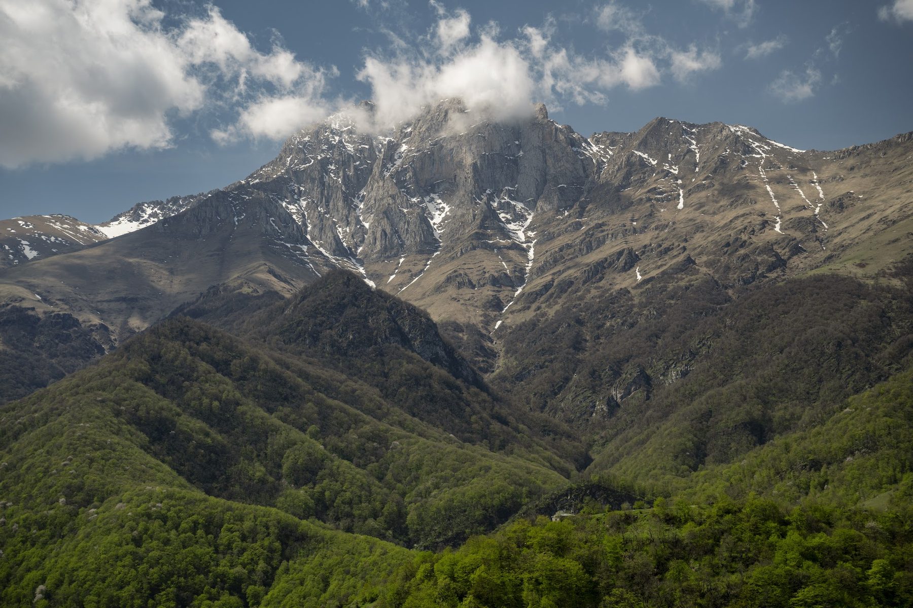 Mount Khustup in summer — snow on the peak above lush green slopes